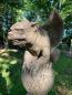 Preview: Gargoyle GAVIN auf Kugel | Fiona Scott © | Pheeberts Statuary